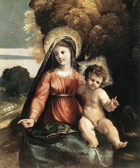 Dosso Dossi Madonna and Child France oil painting art